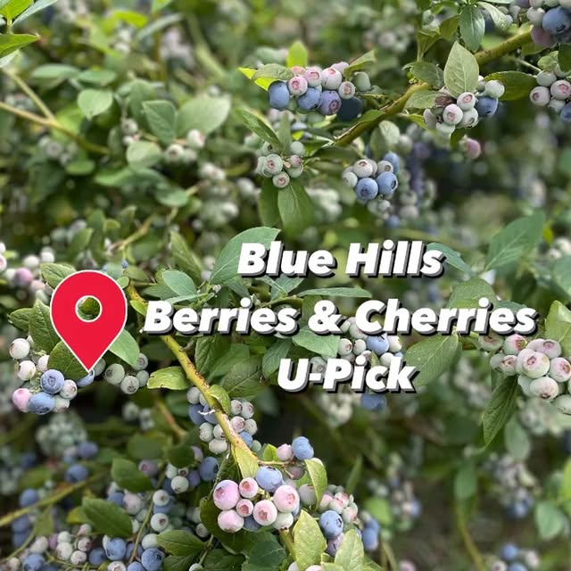 Post by zo.and.sunny