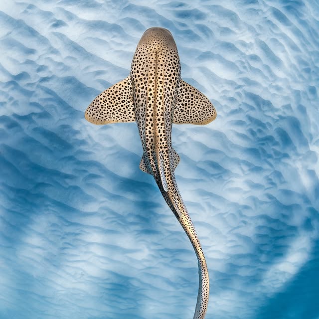 Post by jakewiltonphoto