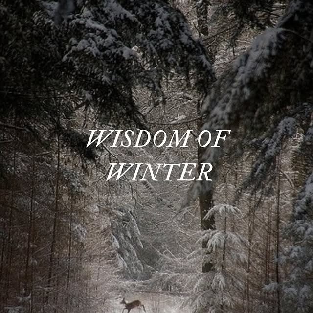 Post by shamansmarket