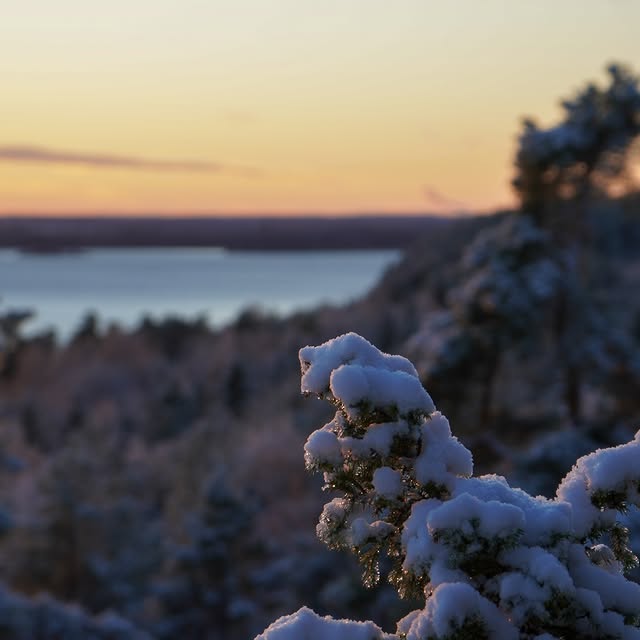 Post by outdoor_nordic