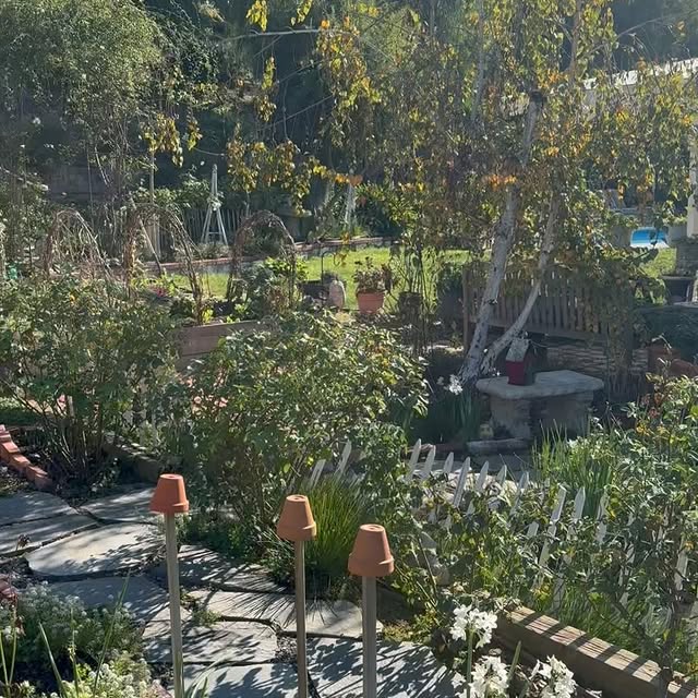 Post by rootedinthyme