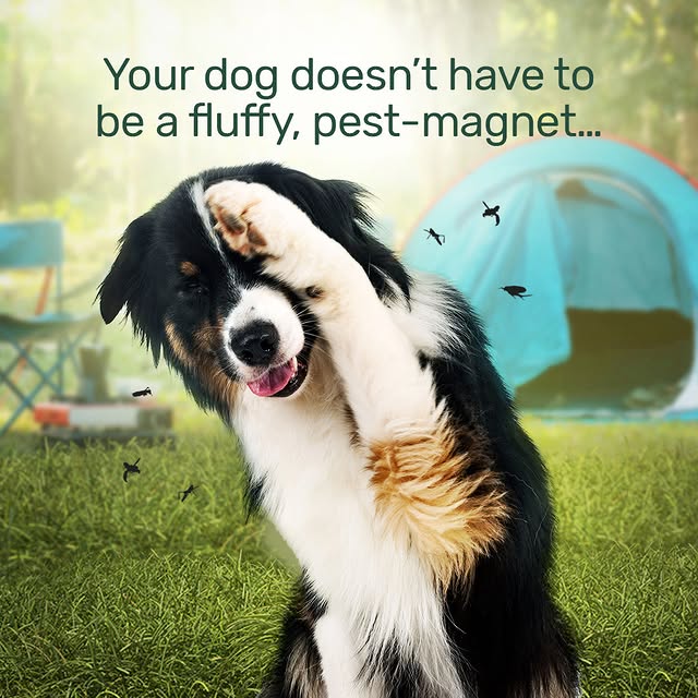 Post by ecologicbrands