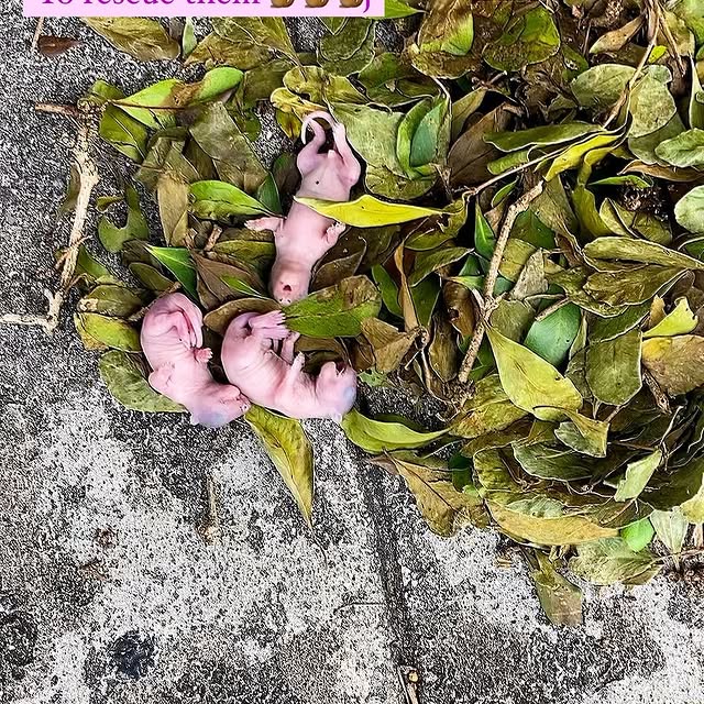 Post by ardilla.maravilla