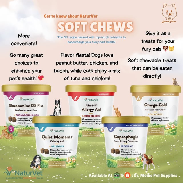 Post by drmomopetsupplies