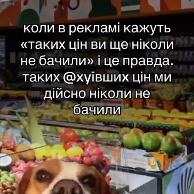 Post by shevchenkotaniya