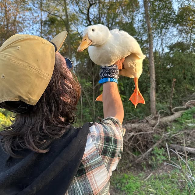 Post by justinwoodcircus