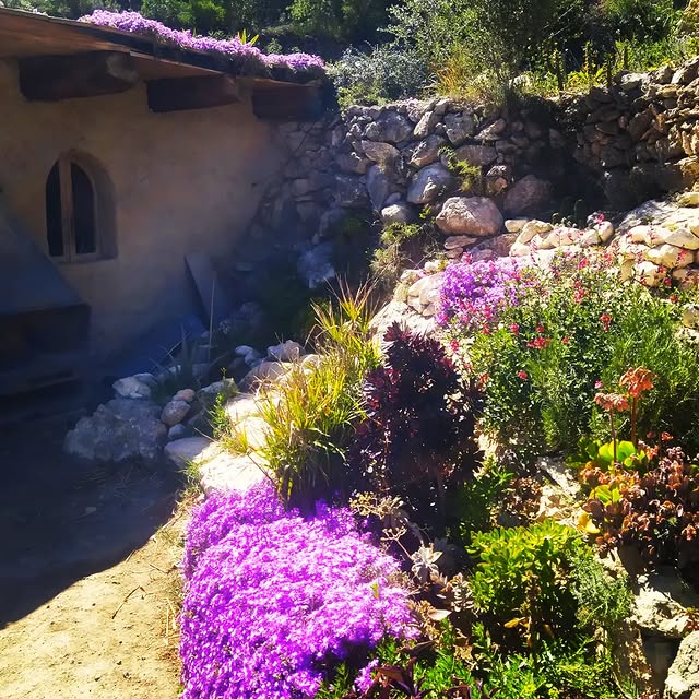 Post by creative_gardening_spain