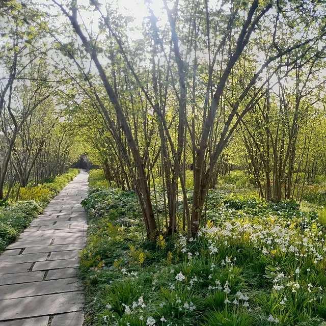 Post by troyscottsmith1