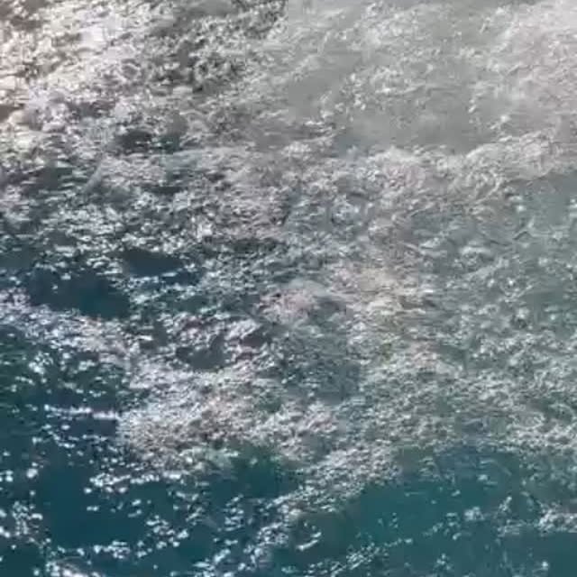 Post by termedeltufaro