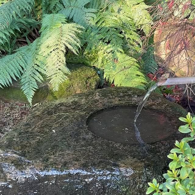 Post by acreswildgardendesign