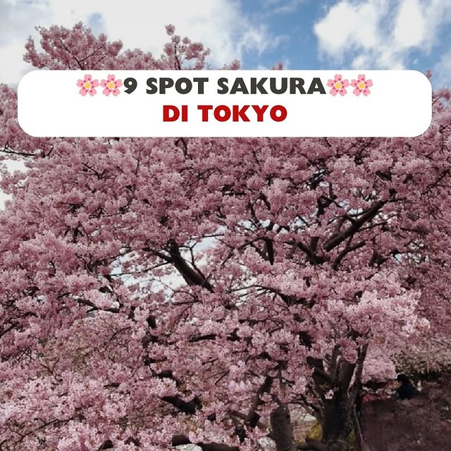 Post by novitanggrainie