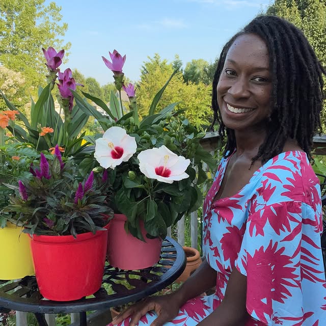 Post by jaysgardenjournal