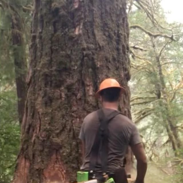 Post by coast_cutter