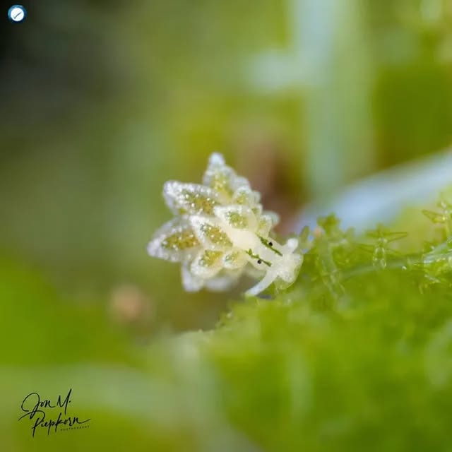 Post by underthesea_perfection