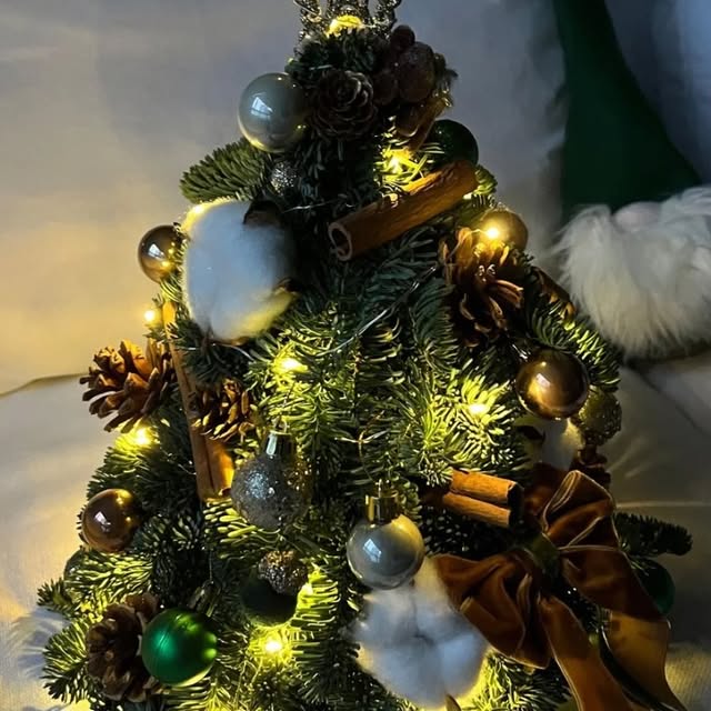 Post by noellefleur_