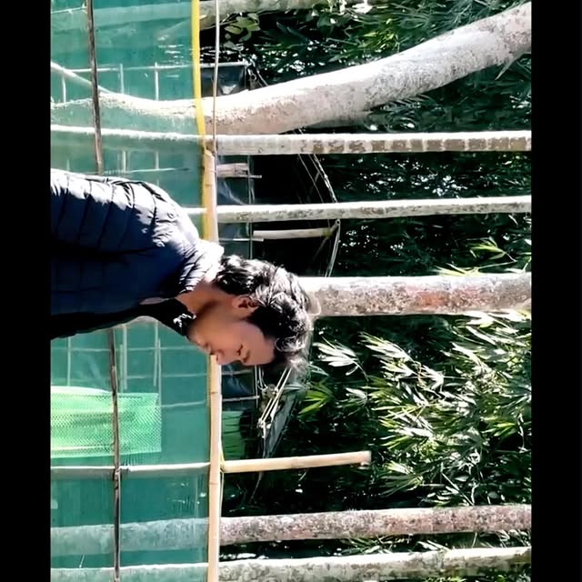 Post by universal_khiladi7.12