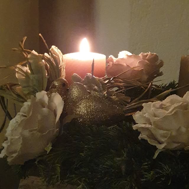 Post by notreroseraie