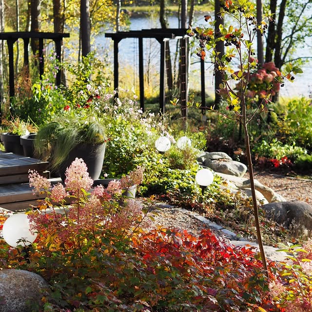 Post by villapelargonia