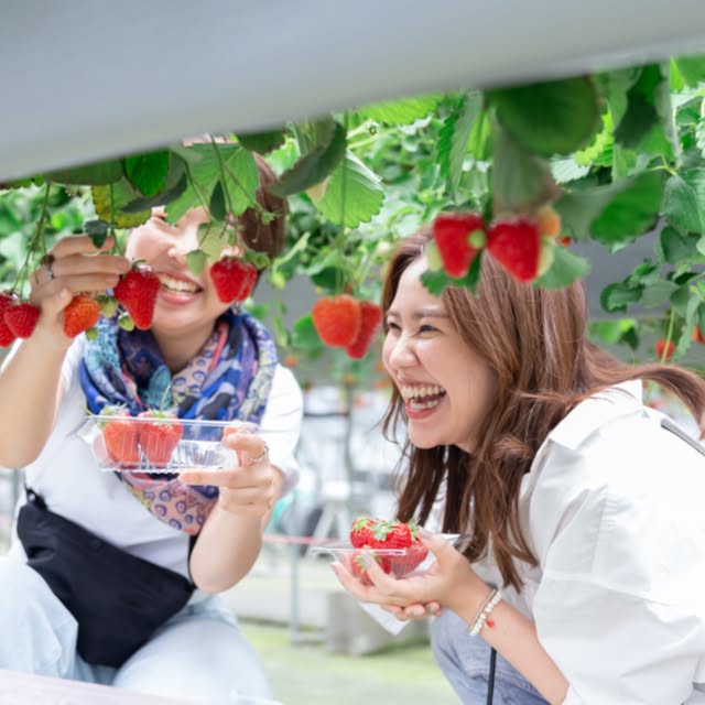 Post by tokyo.daytrip_kanagawa