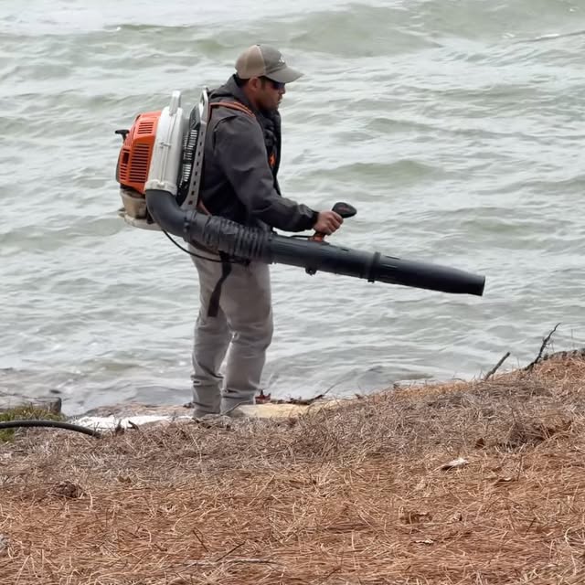 Post by millhousehowell_landscape.co