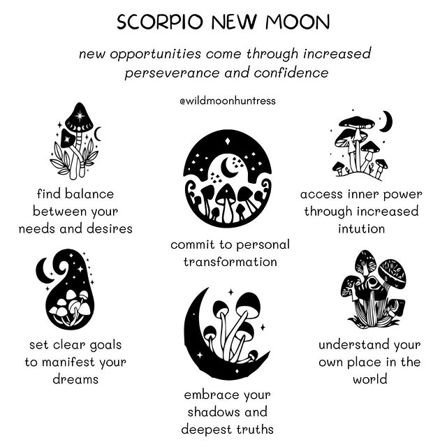 Post by wildmoonhuntress