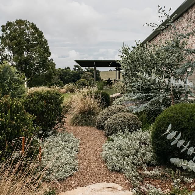 Post by guidetobettergardens