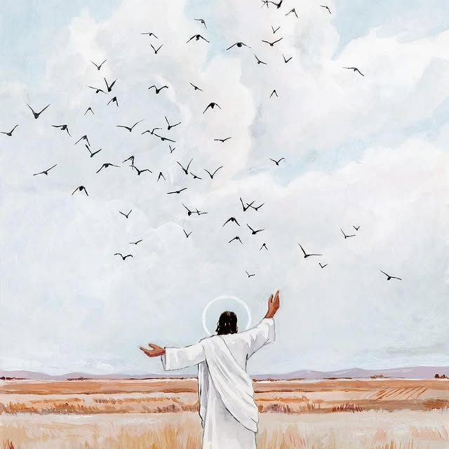 Post by comefollowmedaily