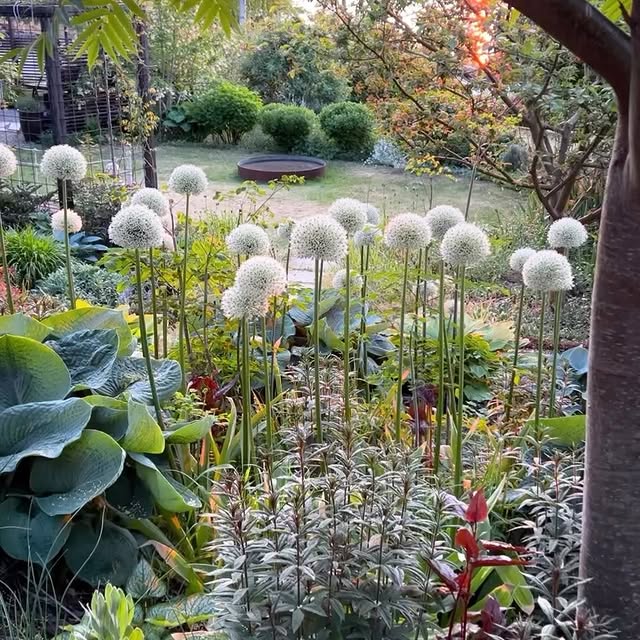 Post by themoosegarden