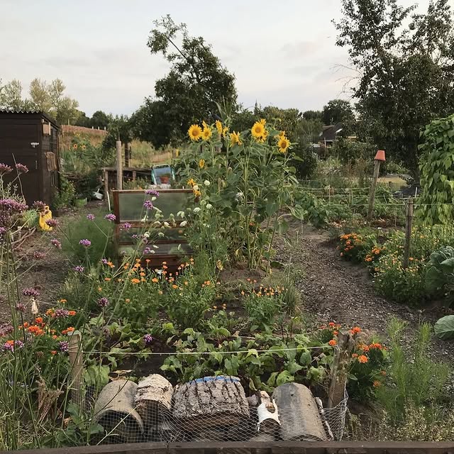 Post by natures_architects