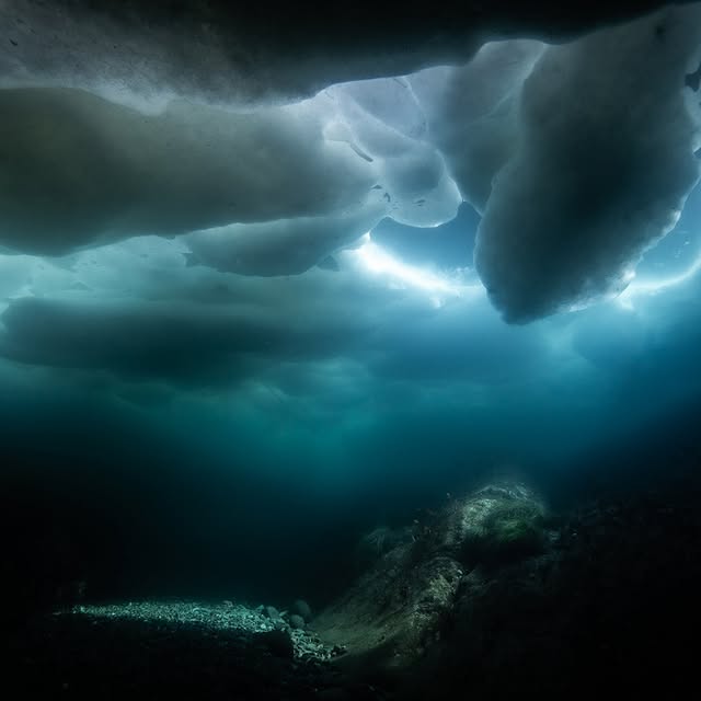 Post by shota_gorillahouse