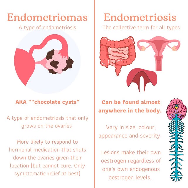 Post by jadewalkerhealth