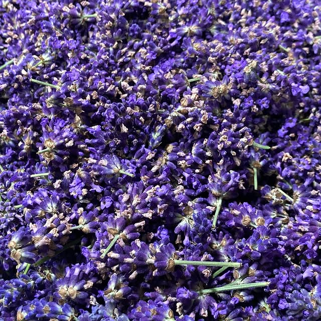 Post by birdys_brunnen