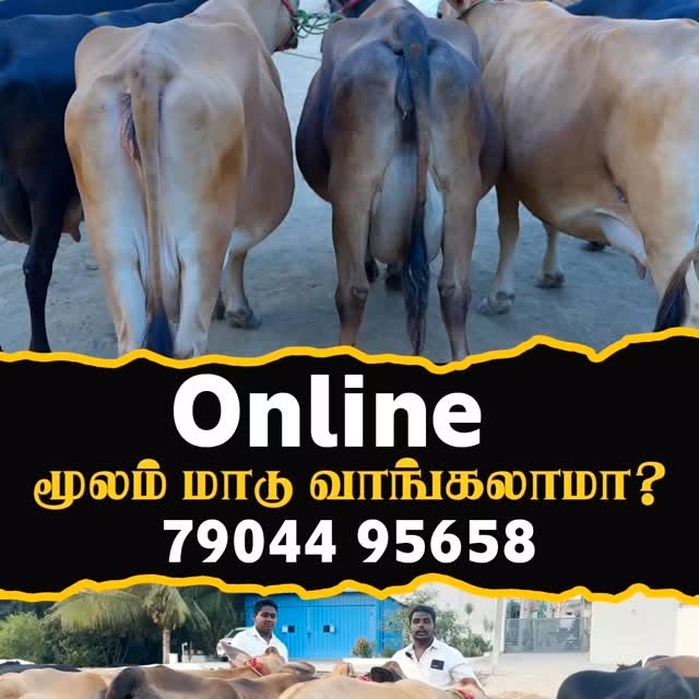 Post by farmingbusiness2020