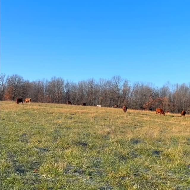 Post by tickcreekranch