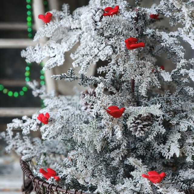 Post by kats_pickins_