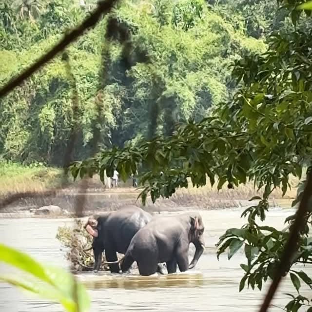 Post by nammaputtur_vittlaofficial