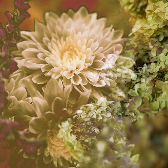 Post by hannnasofiaa