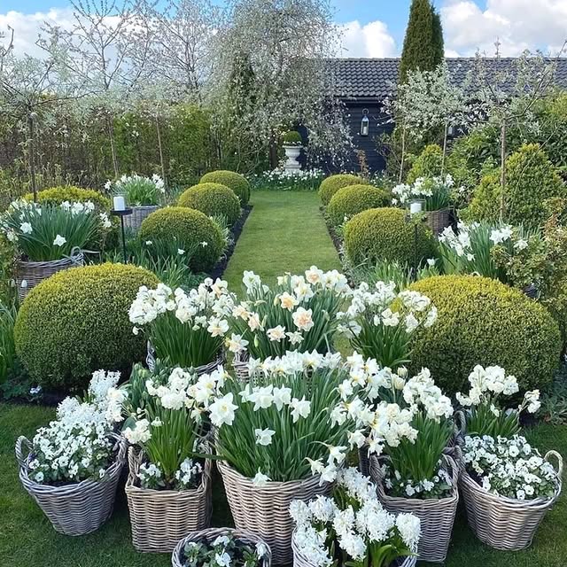 Post by gardening.paeet