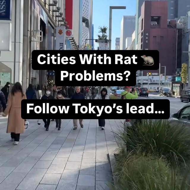 Post by twinhomeexperts