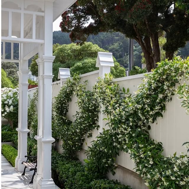 Post by hedge.garden.design.nursery