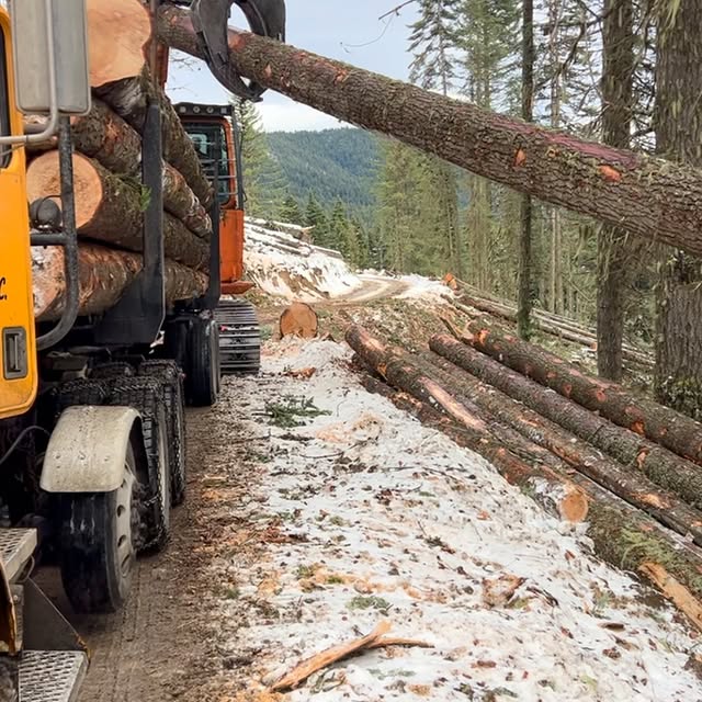 Post by rupps_timber