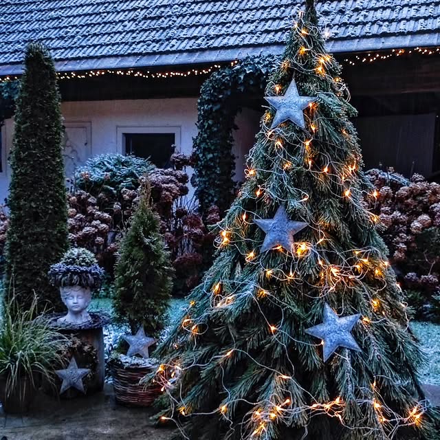 Post by gartenheidisuess