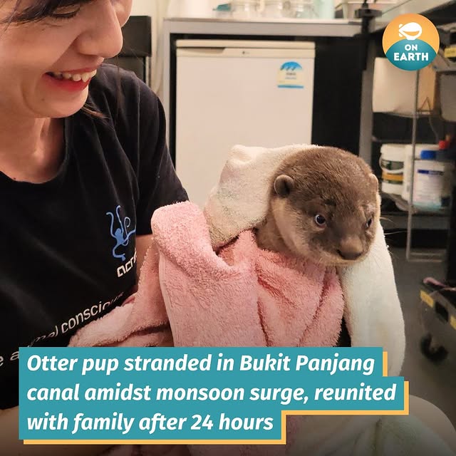 Post by mothershiponearth