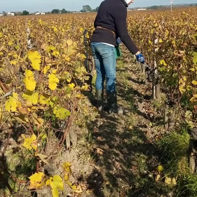 Post by chateaumarquisdalesme