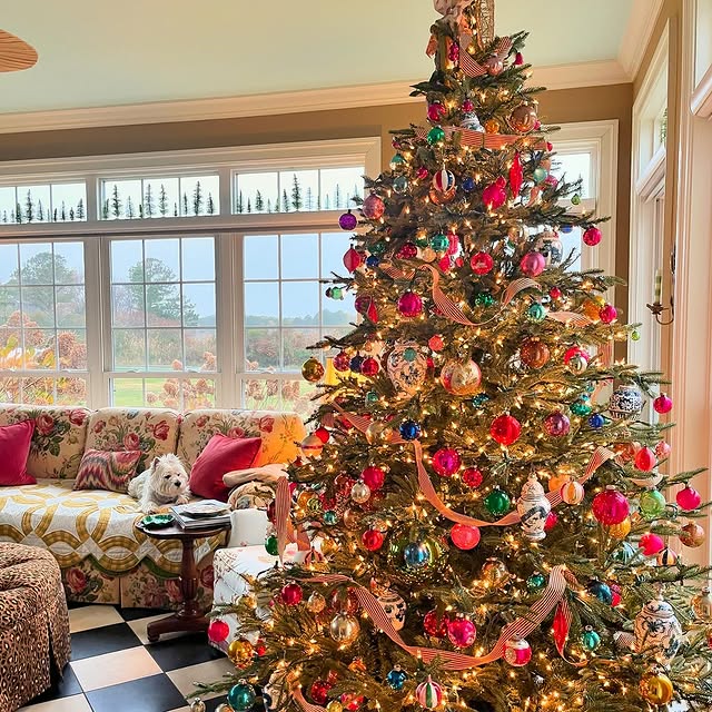 Post by houseandgardendog