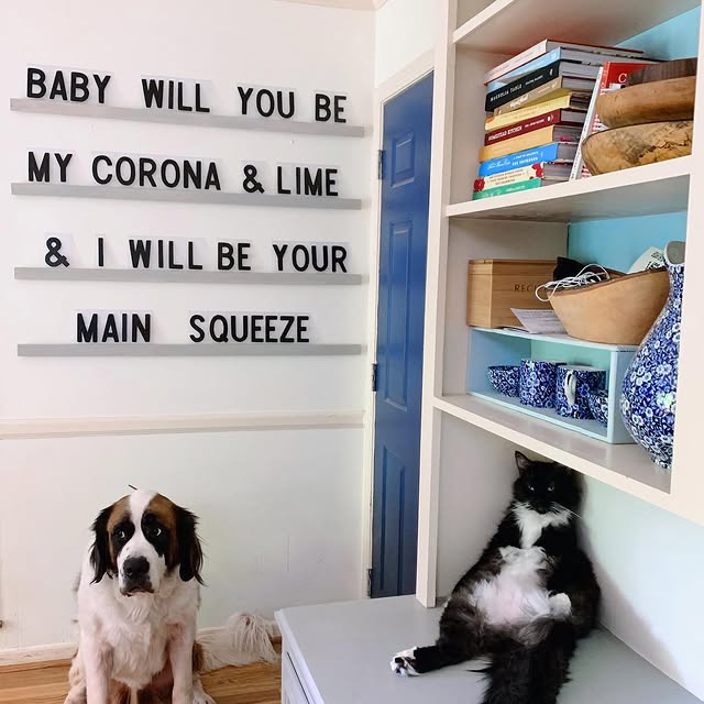 Post by kamrynllofyd