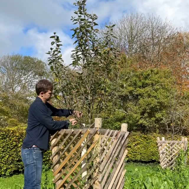 Post by harrisbuggstudio