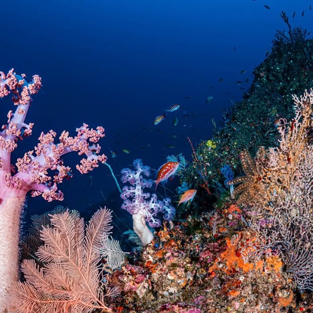 Post by islife_kosei