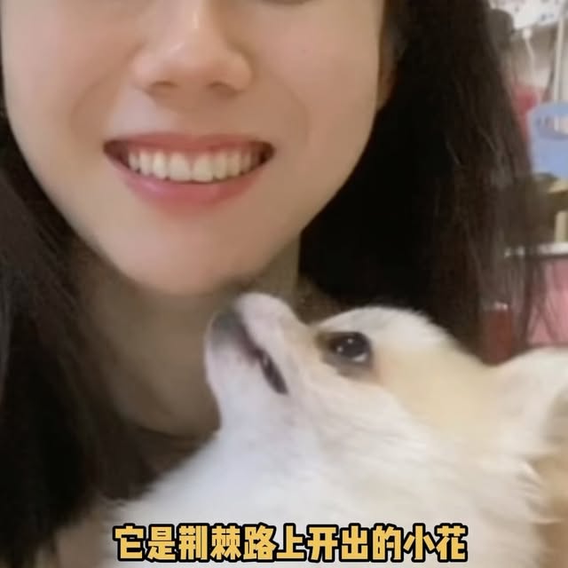 Post by dennise__cheong