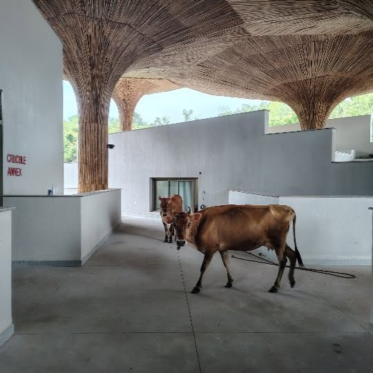 Post by the_purple_ink_studio